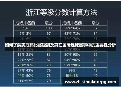 如何了解美冠杯比赛级别及其在国际足球赛事中的重要性分析