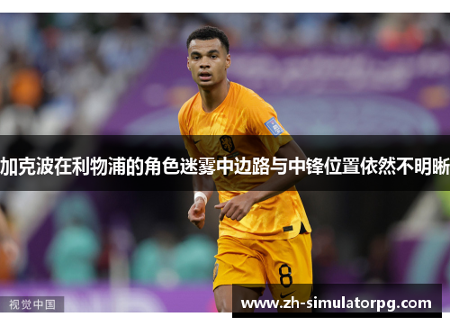 加克波在利物浦的角色迷雾中边路与中锋位置依然不明晰