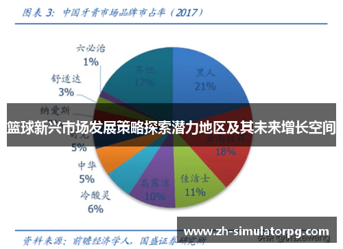 篮球新兴市场发展策略探索潜力地区及其未来增长空间 篮球新兴市场发展策略探索潜力地区及其未来增长空间